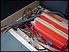 Polo 31-08-5 c.JPG